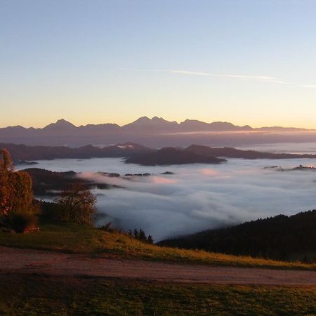 Gostisce In Penzion Stari Vrh Поляне-над-Шкофьё-Локо Экстерьер фото